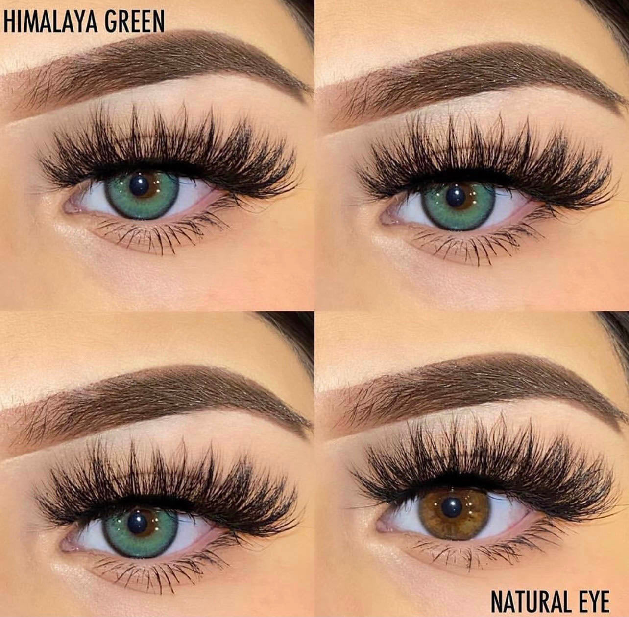 HIMALAYA GREEN