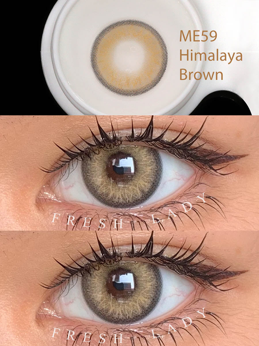 HIMALAYA BROWN