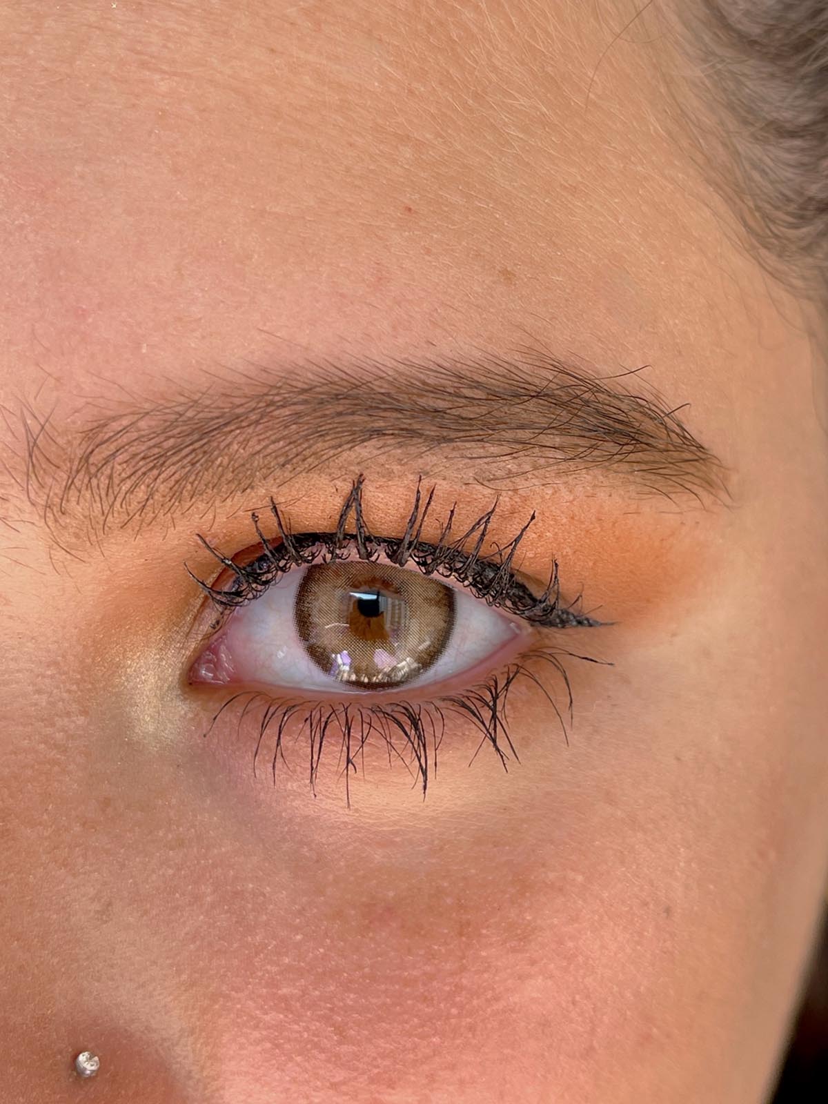 VELVET BROWN