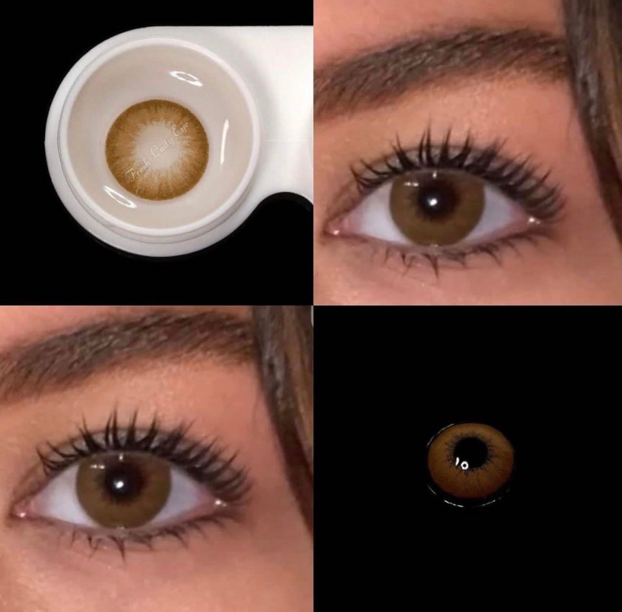 LATTE