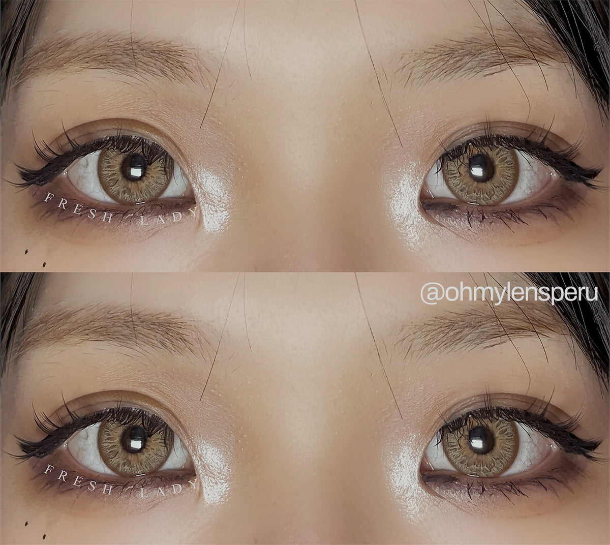 LEOPARD BROWN